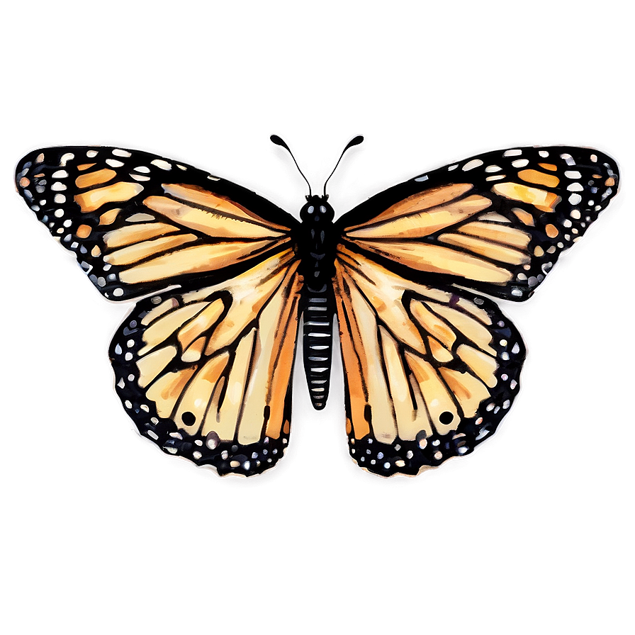 Vintage Monarch Butterfly Png 05252024