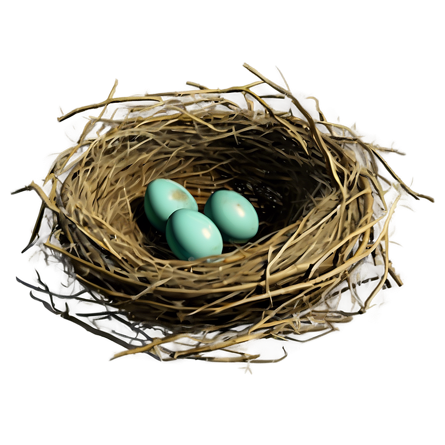 Vintage Nest Illustration Png 05252024