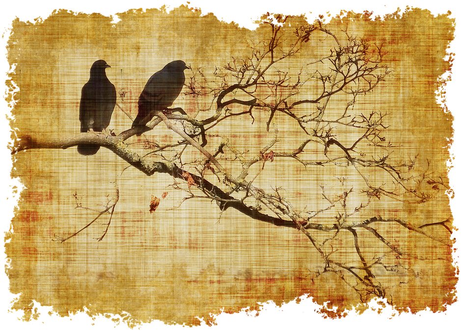 Vintage Parchment Birds Silhouette