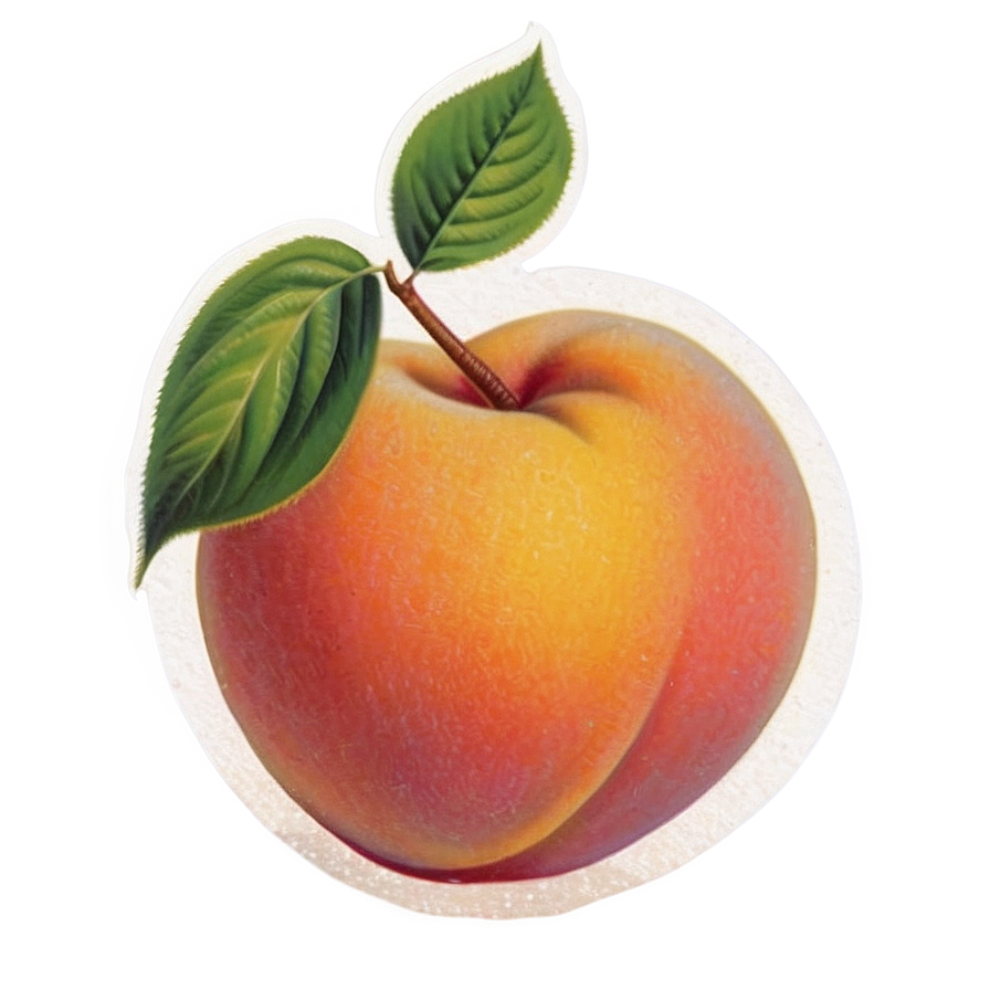 Vintage Peach Poster Png Vaj45