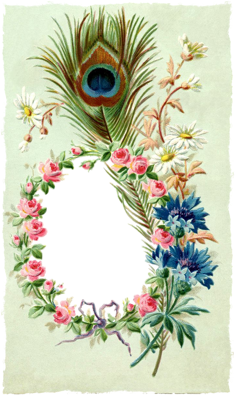 Vintage Peacock Feather Floral Frame