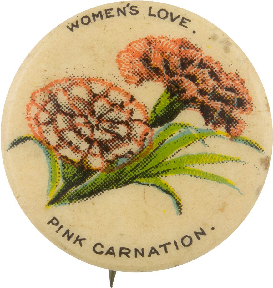 Vintage Pink Carnation Pinback