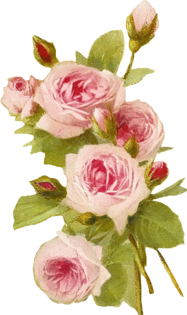 Vintage Pink Roses Artwork