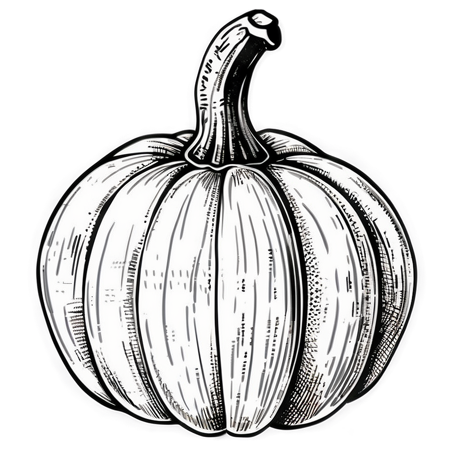 Vintage Pumpkin Outline Picture Png 06202024