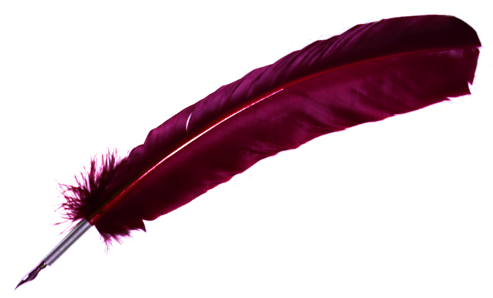 Vintage Red Feather Pen.png