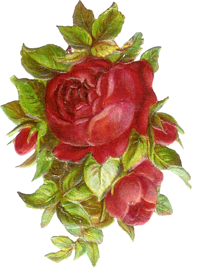 Vintage Red Rose Cluster.png