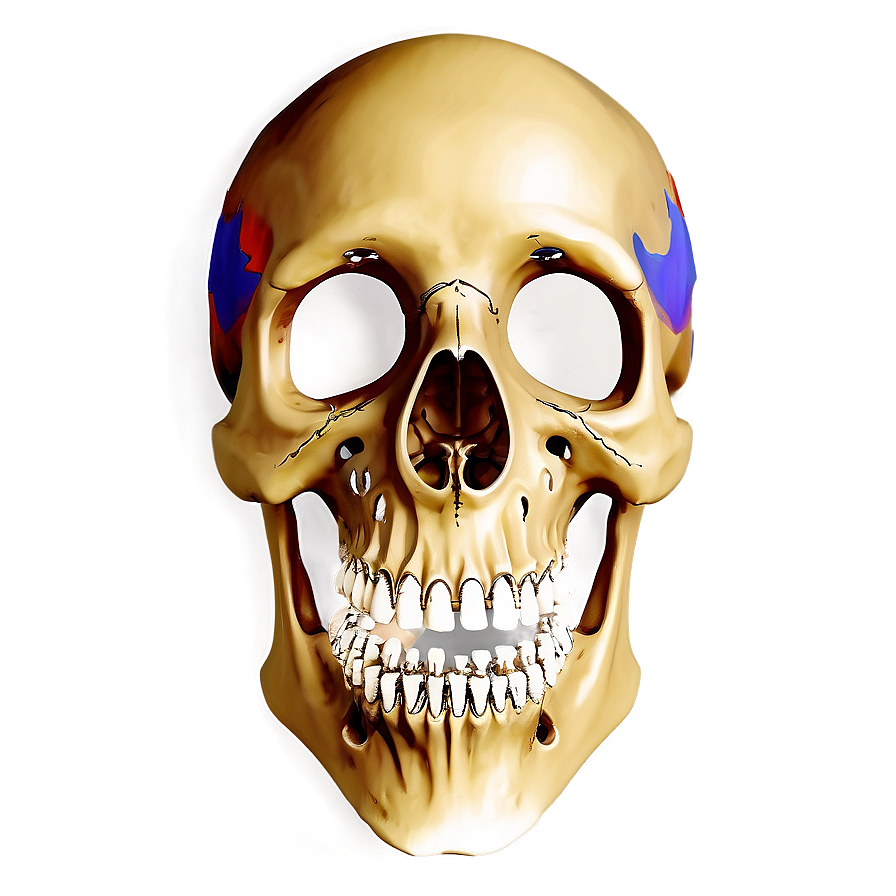 Vintage Skeleton Diagram Png Jdp