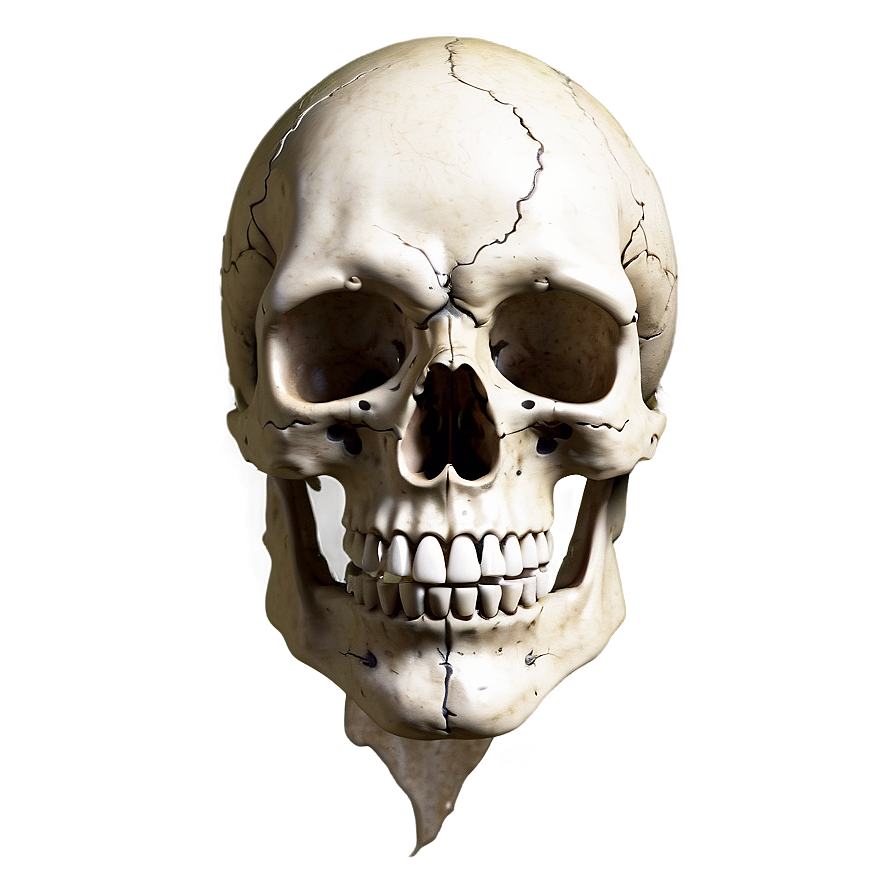 Vintage Skull Face Rendering Png Ykx