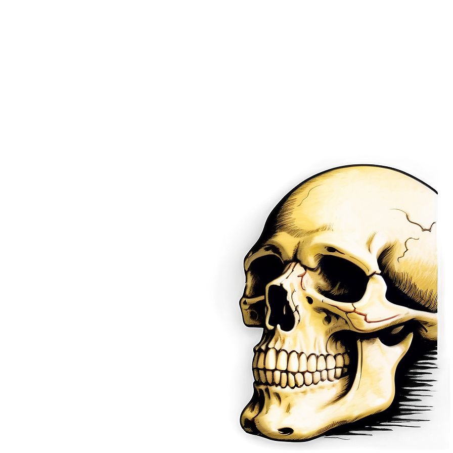 Vintage Skull Graphic Png A