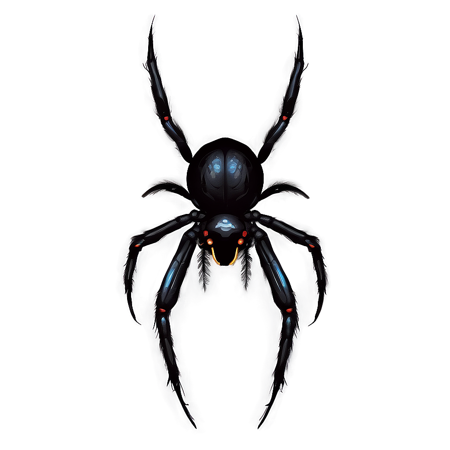 Vintage Spider Illustration Png Gnr12