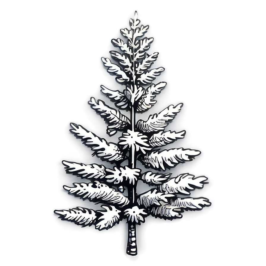 Vintage Spruce Tree Engraving Png Eek