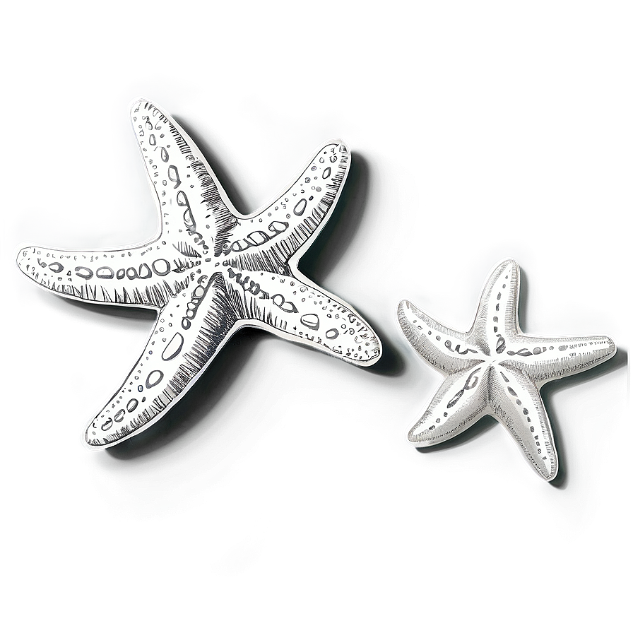 Vintage Starfish Sketch Png Osd