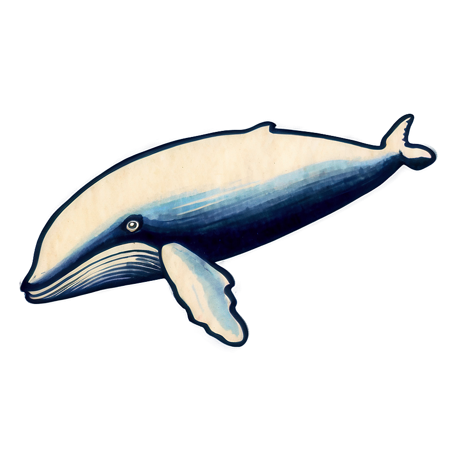 Vintage Whale Drawing Png Xki