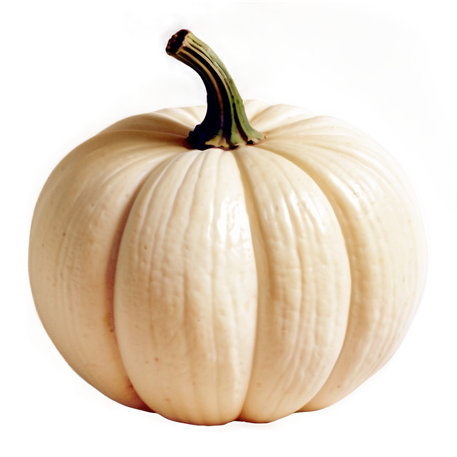 Vintage White Pumpkin Png Dxy58