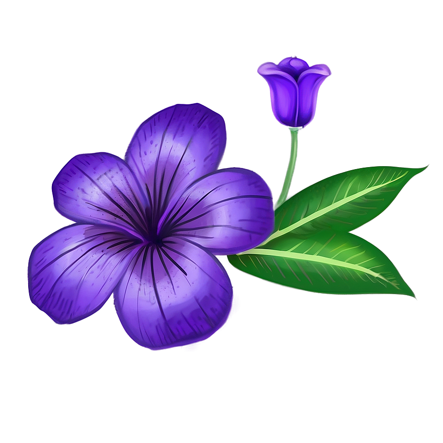 Violet Flower Drawing Png 94