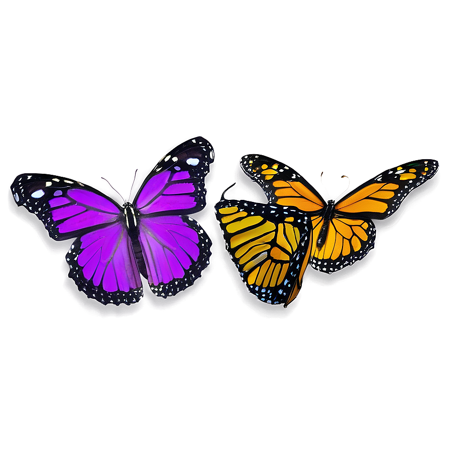 Violet Monarch Butterfly Png 74