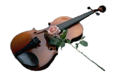 Violin_and_ Rose_ Elegance.jpg