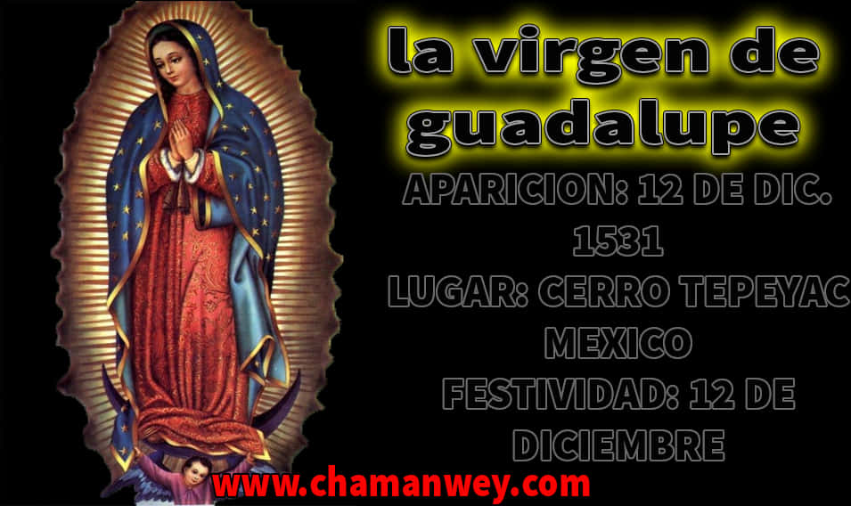 Virgen De Guadalupe Apparition Information