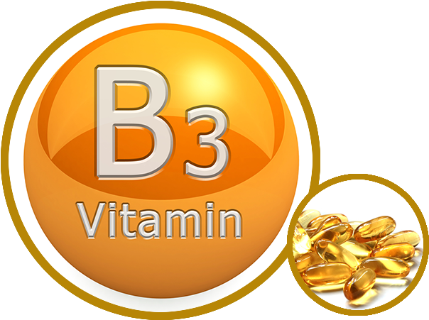 Vitamin B3 Supplement Graphic