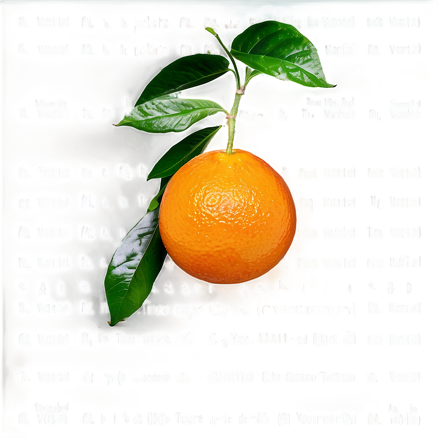 Vitamin C Rich Oranges Png 19