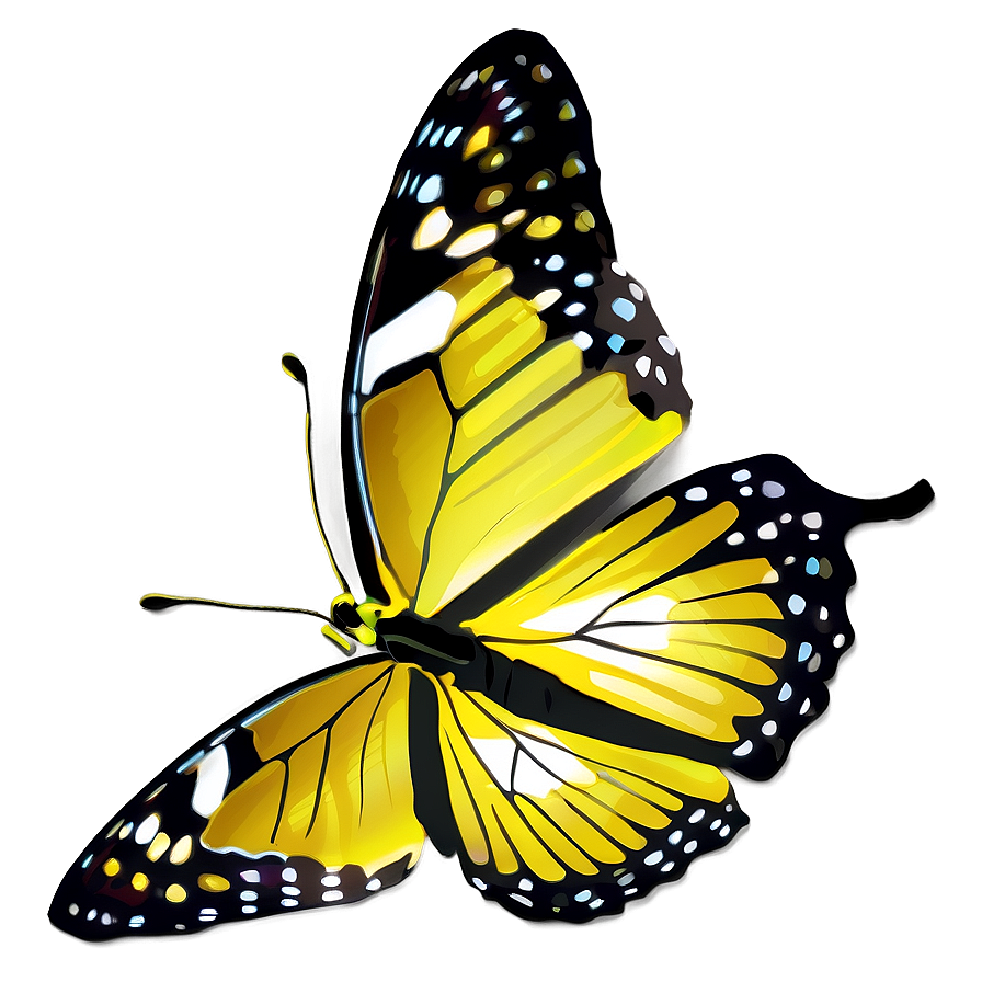 Vivid Butterfly Png 70