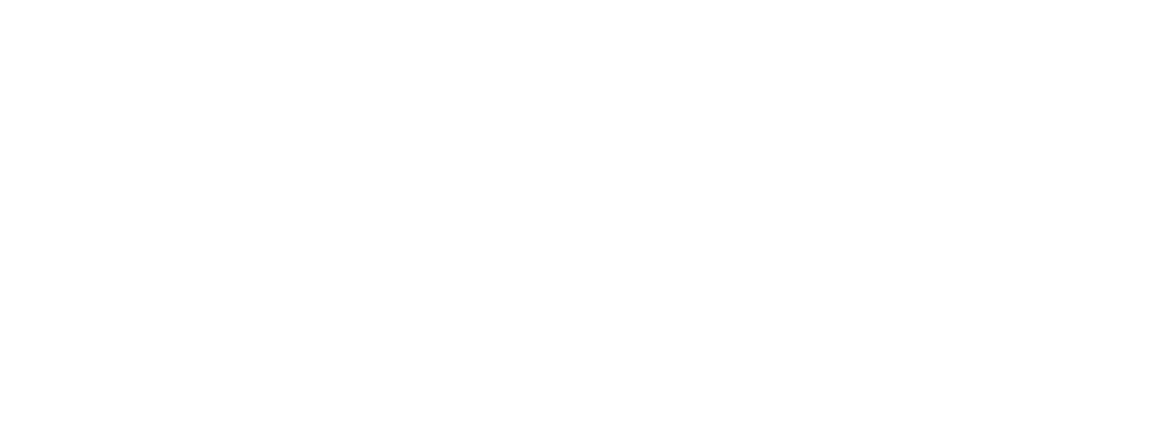 Vogue Global Network Logo