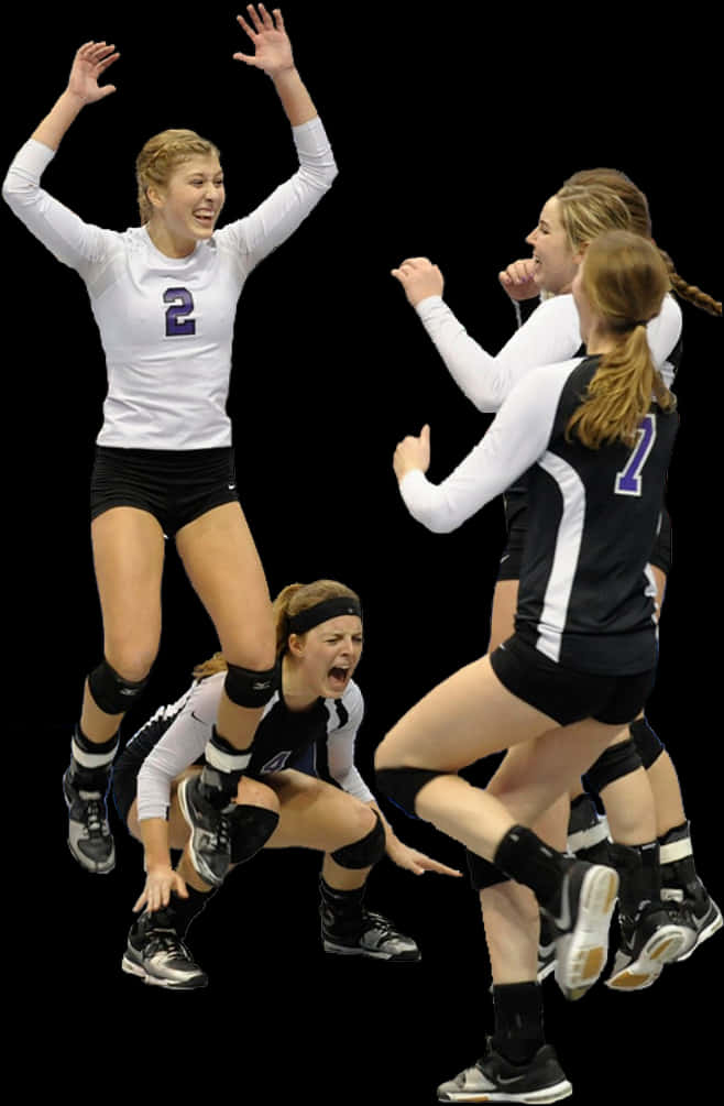 Volleyball_ Team_ Celebration_ Moment.jpg