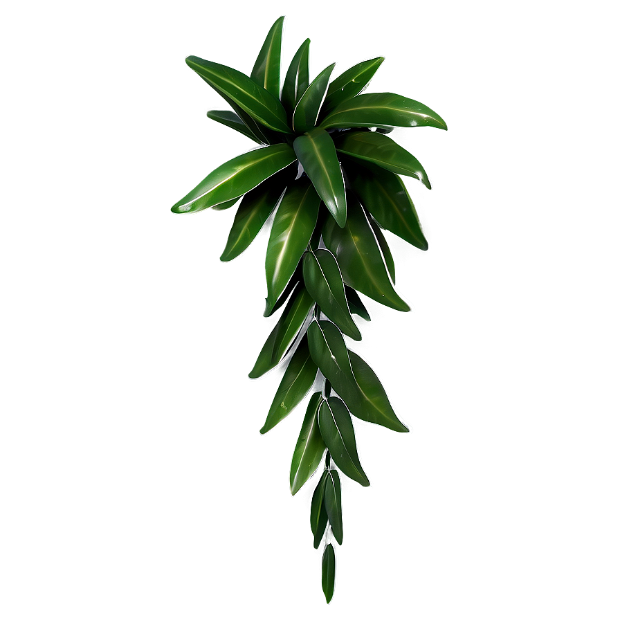 Wall Hanging Plant Png 18