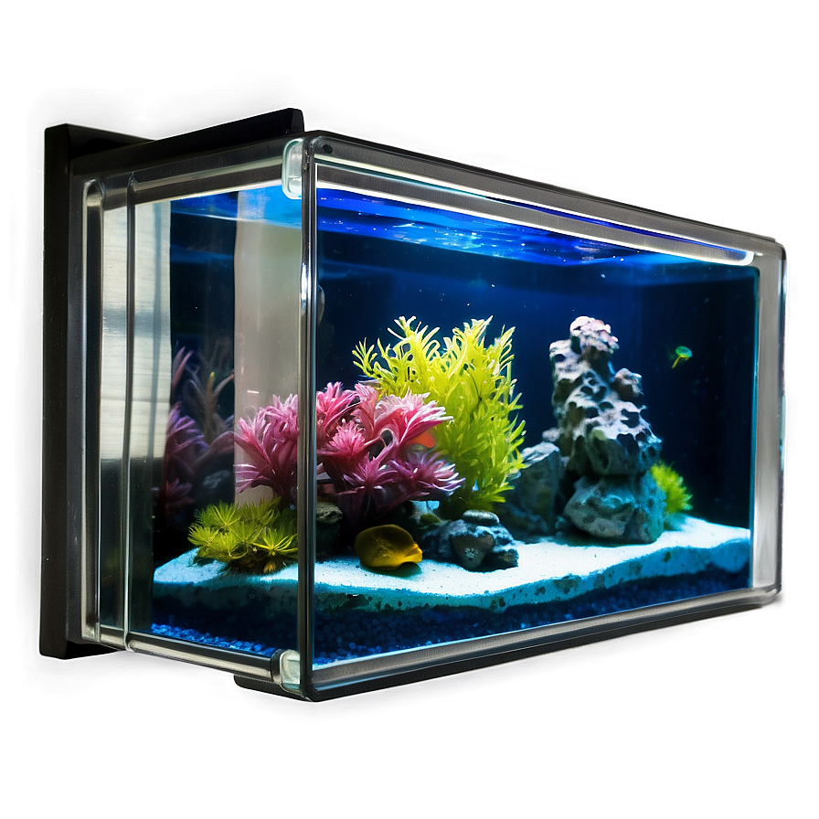 Wall Mounted Fish Tank Png Lvu