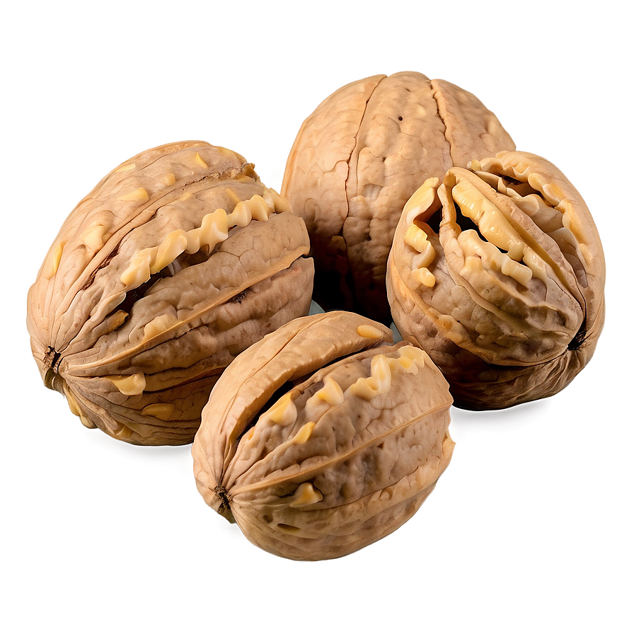 Walnut Kernel Png Gpm