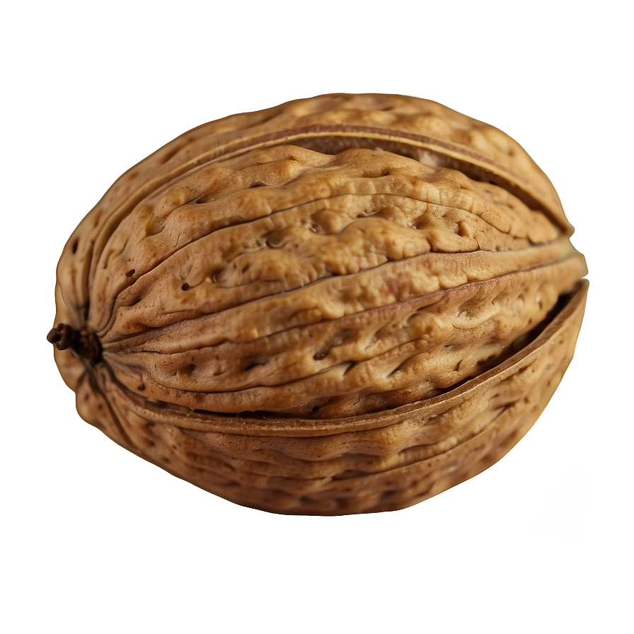 Walnut Png Nya85