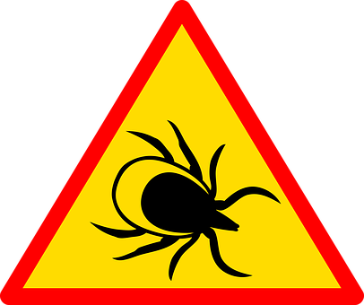 Warning Sign Black Spider Yellow Background