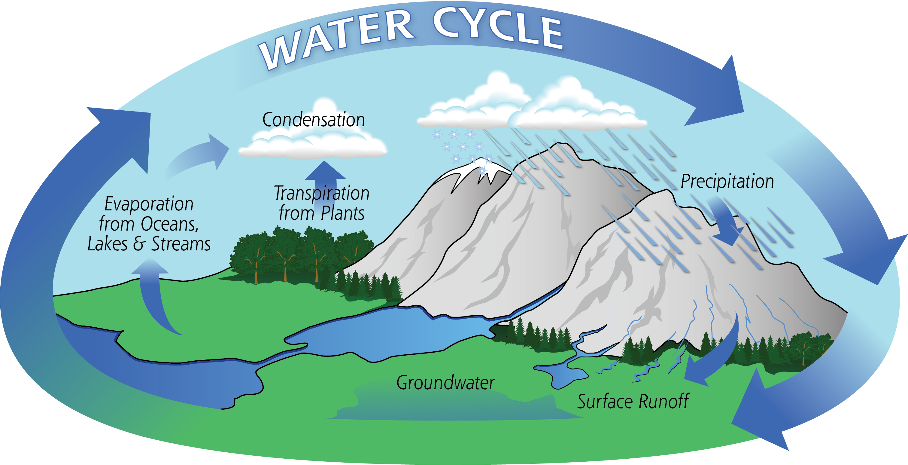 Water_ Cycle_ Illustration