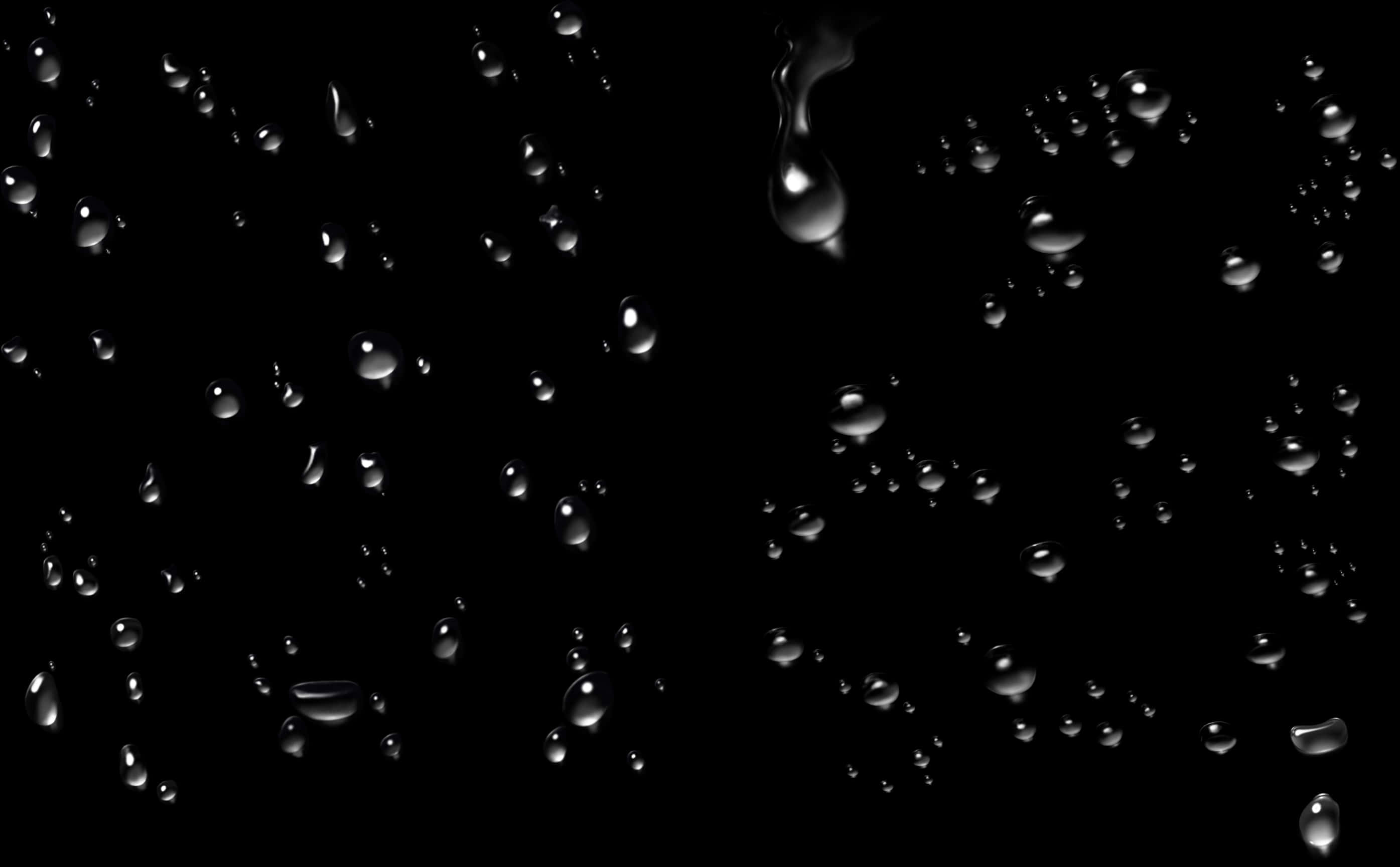 Water Dropson Black Background.jpg