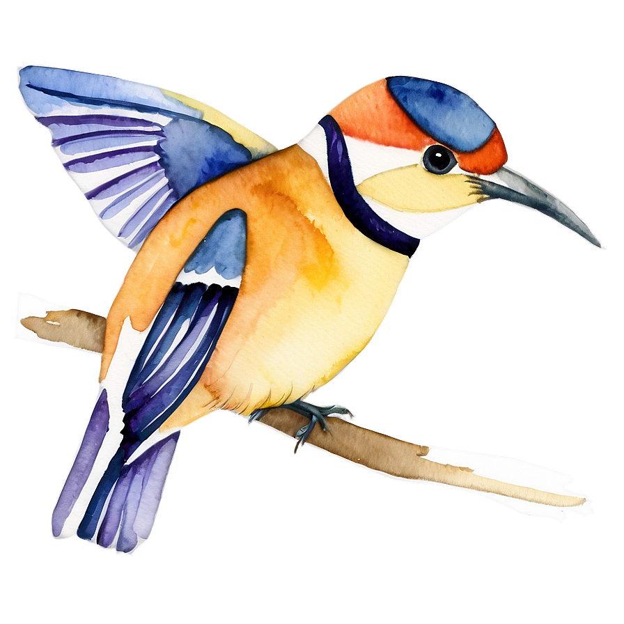 Watercolor Bird Illustration Png Mih47