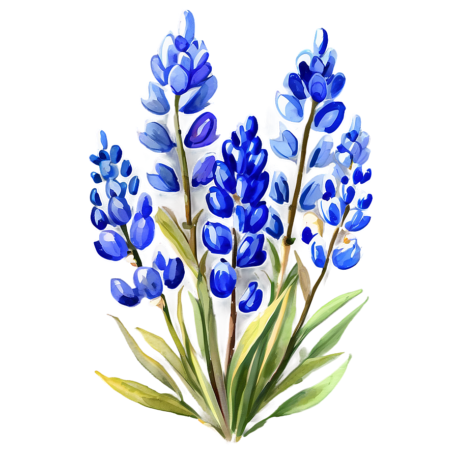 Watercolor Bluebonnet Field Png Qel52