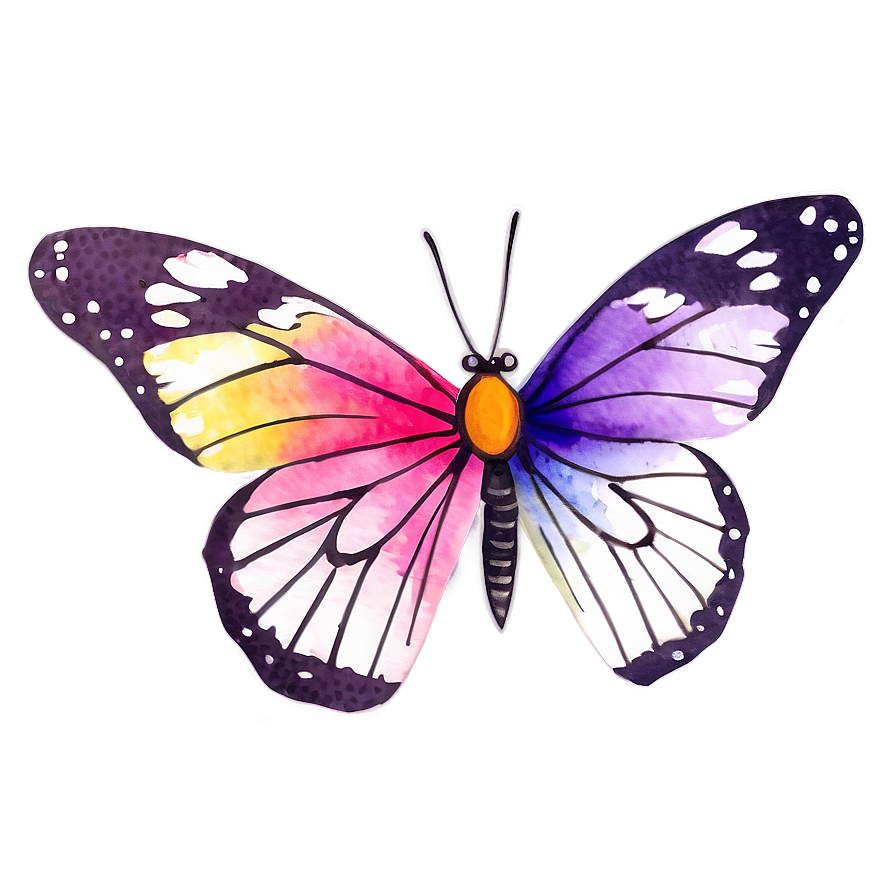 Watercolor Butterfly Design Png 53