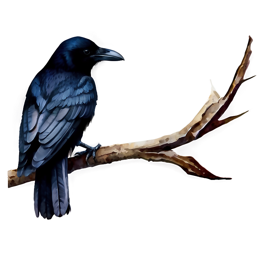 Watercolor Crow Png 24