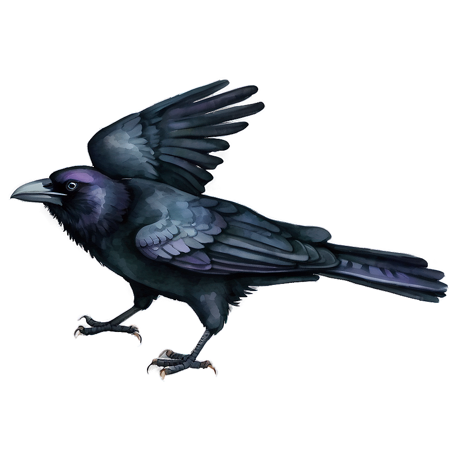 Watercolor Crow Png Wlm