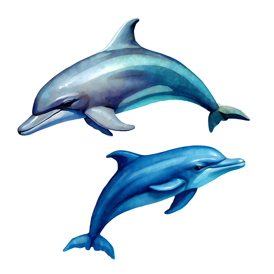 Watercolor Dolphin Png Ysd17