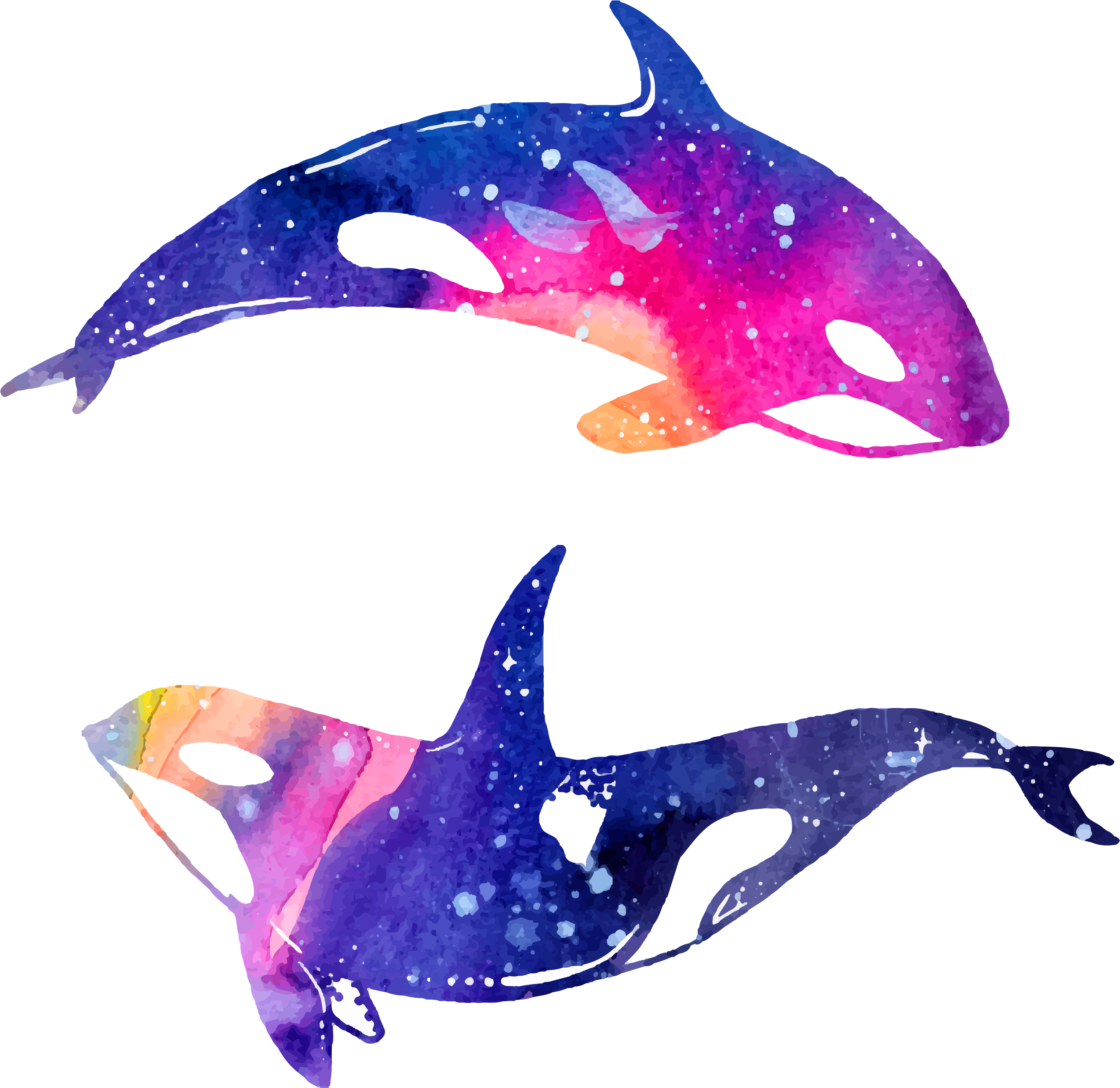 Watercolor Dolphins Artwork