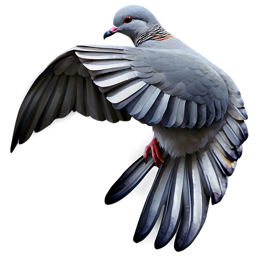 Watercolor Dove Png Gnw10