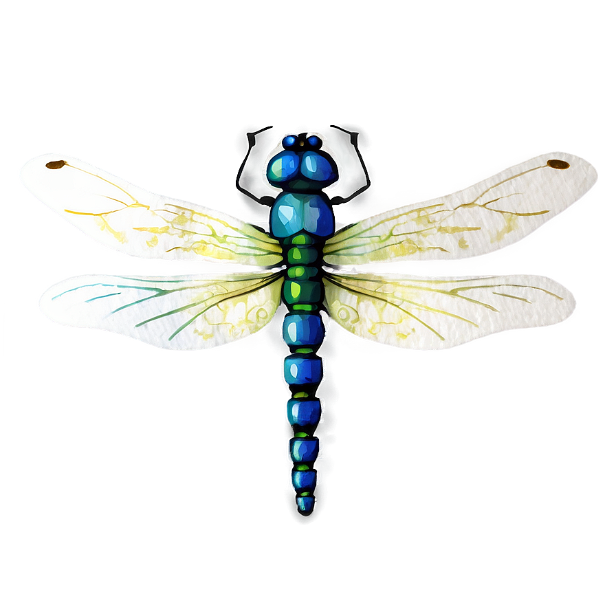 Watercolor Dragonfly Png 05212024