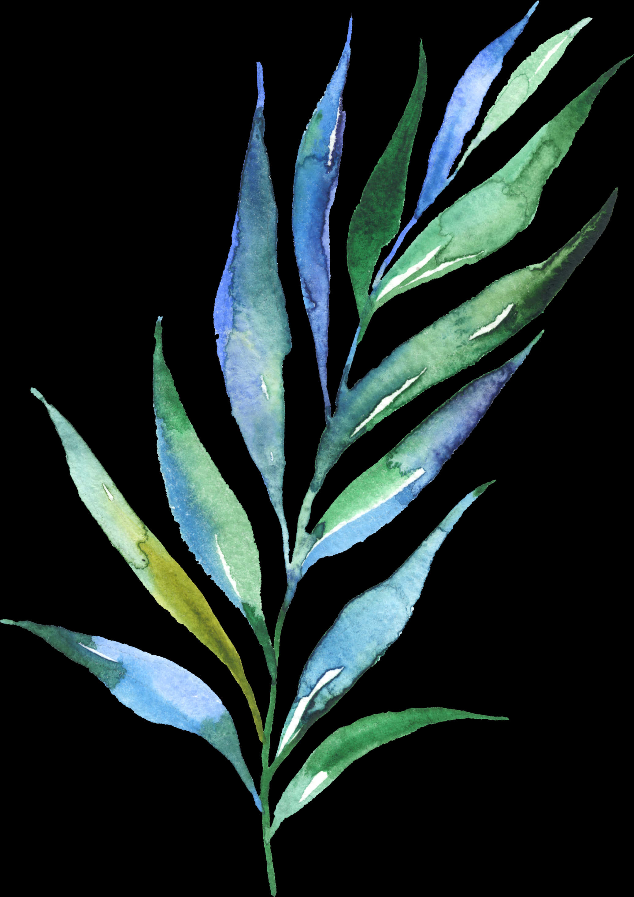 Watercolor Eucalyptus Branch