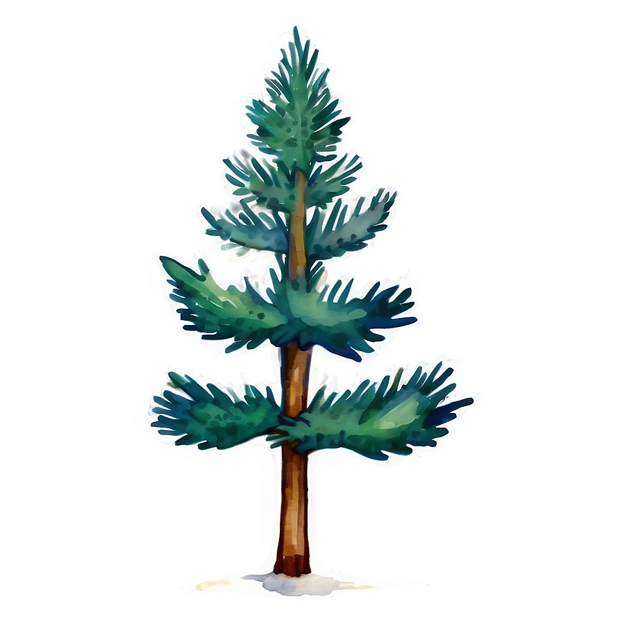 Watercolor Evergreen Tree Png Iwo37