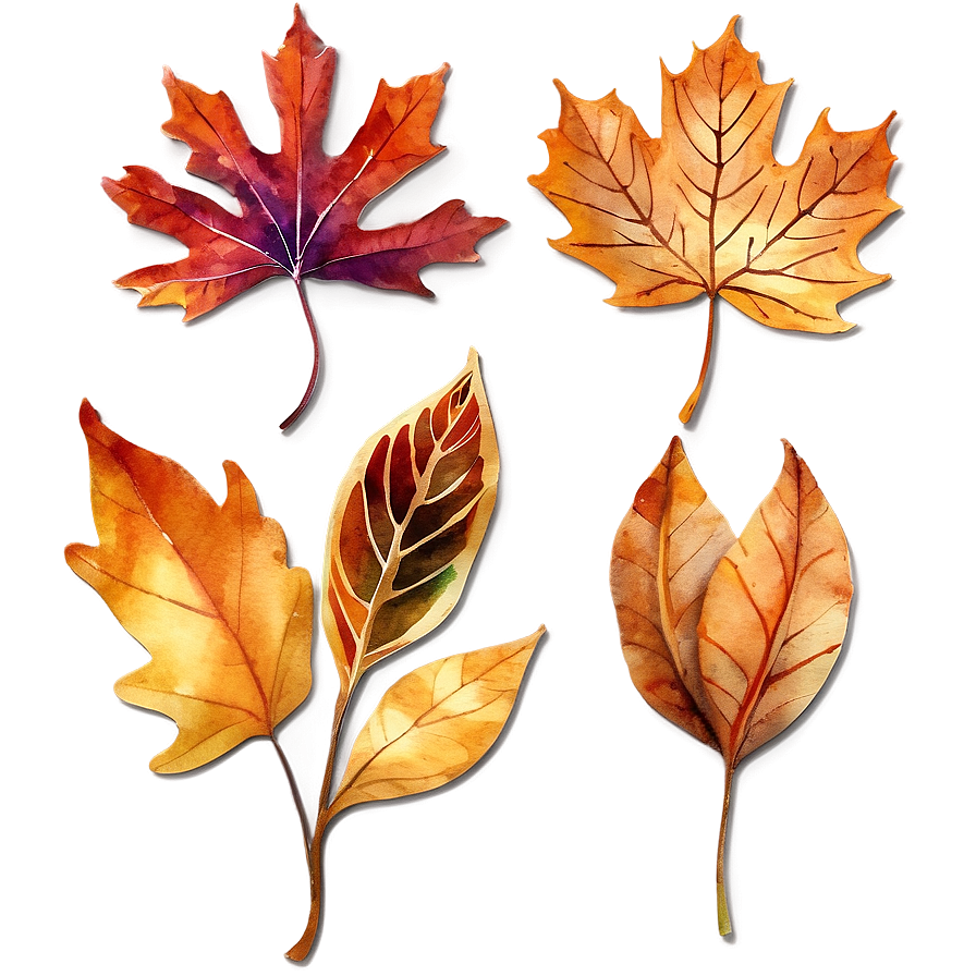 Watercolor Fall Leaves Png Opa77