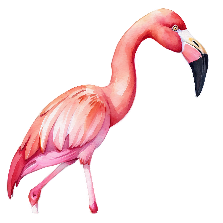 Watercolor Flamingo Artwork Png Jgh