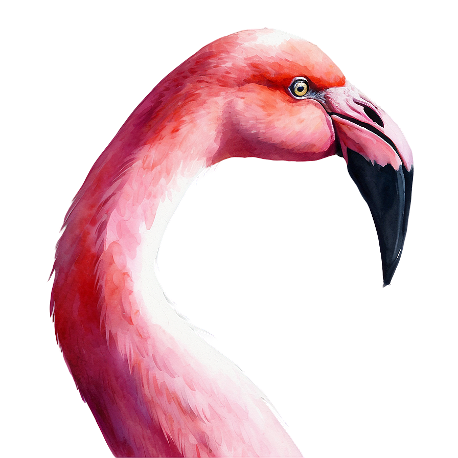 Watercolor Flamingo Artwork Png Scn11