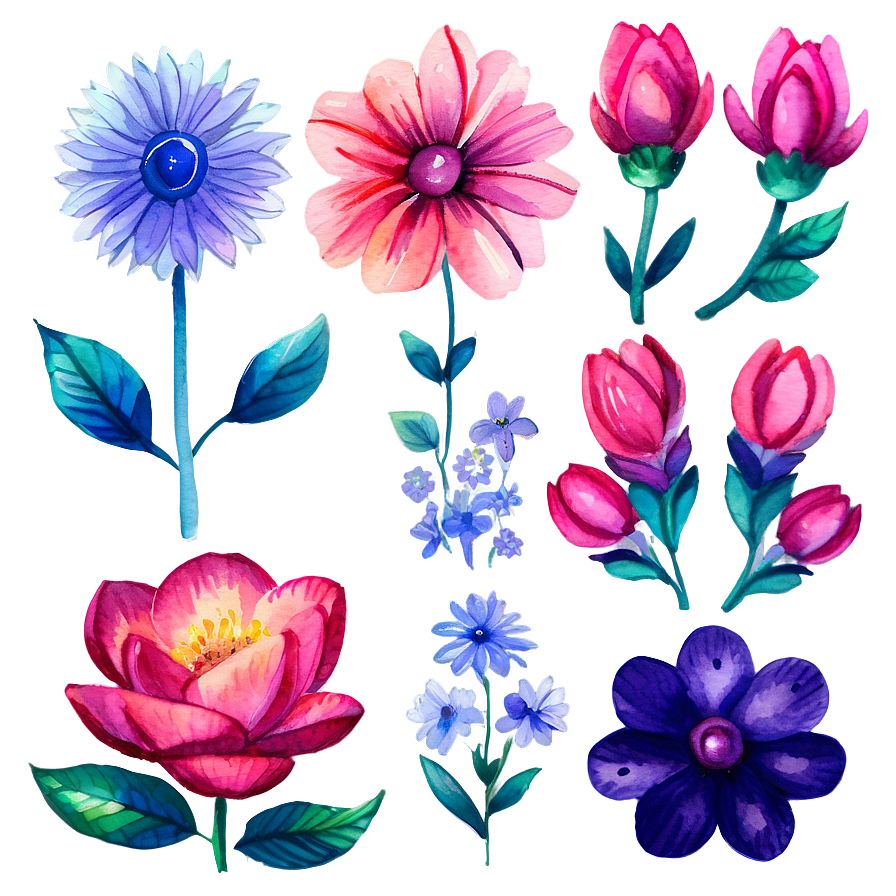 Watercolor Floral Clipart Png 05062024