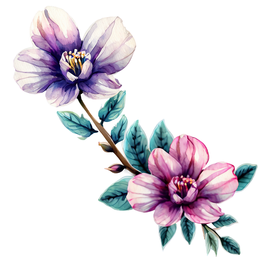 Watercolor Flower Outline Png 45